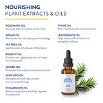 Hair Essential Oil Supplier - OEM Factory's Organic Natural Moisturizing Hair Loss Reduction