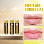 Lip Balm Manufacturer - OEM 4g Moisturizing Nourishing Vegan Honey