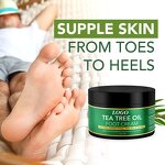 Foot Cream Manufacturer - OEM Tea Tree Oil Anti Fungal Moisturizing