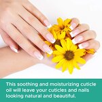Cuticle Oil Manufacturer - OEM 0.5oz Nourishing Revitalizing Softening
