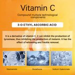 Skin Care Set Manufacturer - OEM 5PCS Vitamin C Dark Spot Remover Brightening