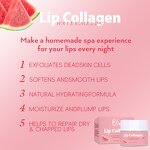Lip Sleeping Mask Manufacturer - OEM 15g Watermelon Collagen Softens Lines