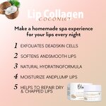 Lip Sleeping Mask Manufacturer - OEM 15g Vitamin C Coconut Collagen Plumping