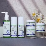 Skin Care Set Manufacturer - OEM Tea Tree Oil 6PCS Wrinkles Pimples Remover