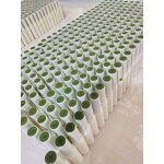 Lip Balm Manufacturer - OEM Moisturize Prevent Dry Peeling Repair Lines