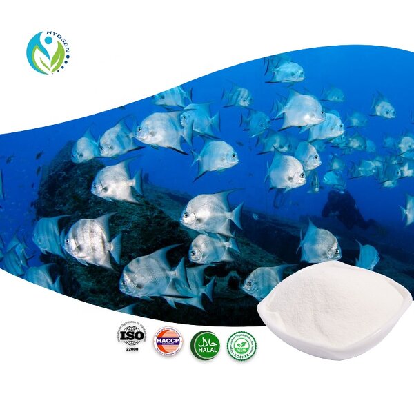 Marine Collagen Peptides Manufacturer - Fish Collagen Powder Supplier