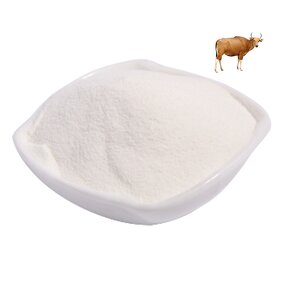 Collagen Peptide Powder Manufacturer - Type I & II Hydrolyzed Protein