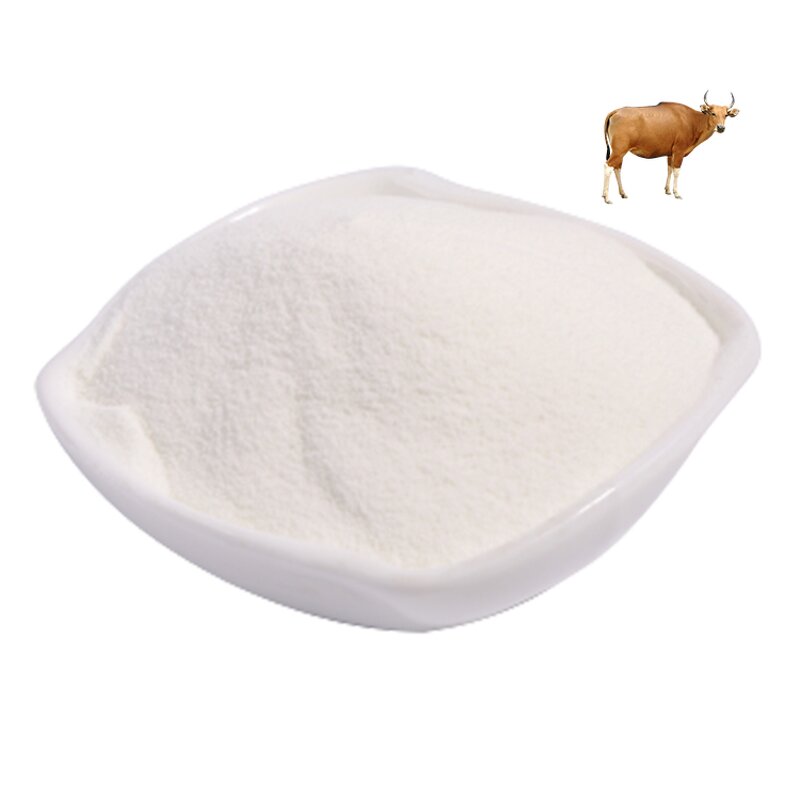 Collagen Peptide Powder Manufacturer - Type I & II Hydrolyzed Protein