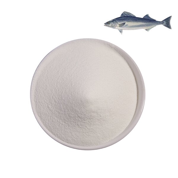 Marine Collagen Powder Manufacturer - Hydrolyzed Collagen Hydrolysate