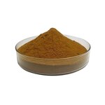 Bacopa Monnieri Extract Manufacturer - 50% Bacopasides Sports Supplement