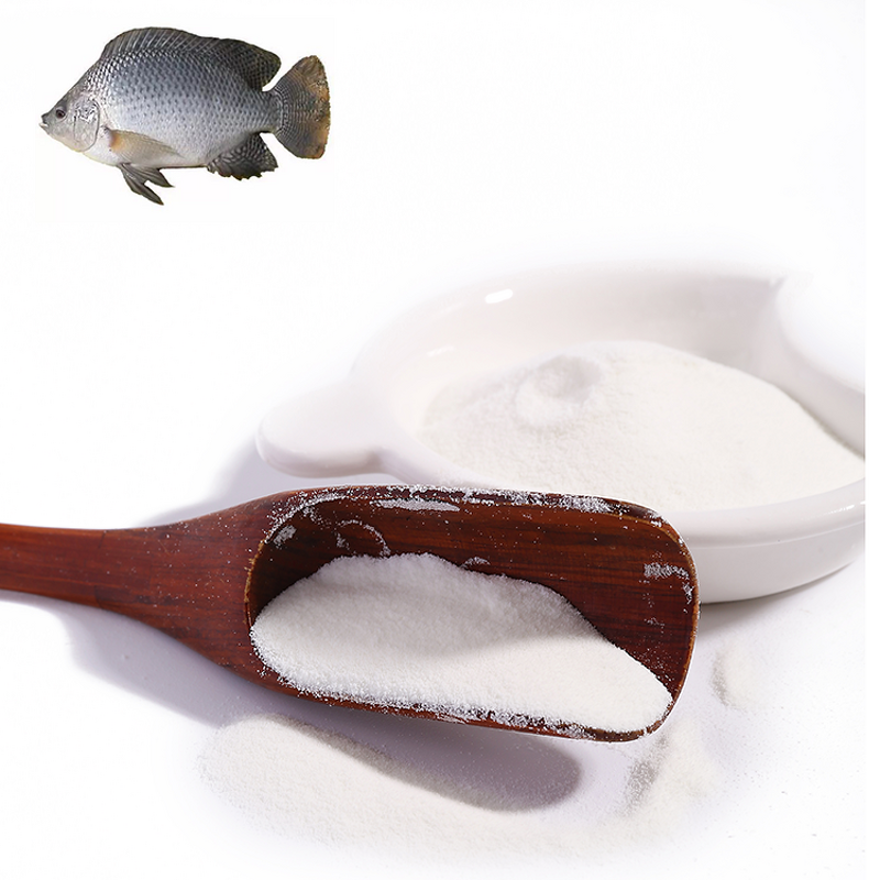 Fish Collagen Powder Manufacturer - High Quality Skin Care Product