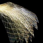 Fish Gelatin Leaf Manufacturer - Halal Edible Food Grade Supplier