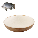 Marine Collagen Peptide Manufacturer - Type II Raw Material Powder
