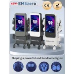 EMS仪器源头工厂-23.8英寸屏幕4/5手柄身体雕塑