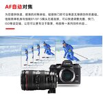 Lens Mount Adapter Manufacturer - OEM Auto Focus EF to EOS M Universal
