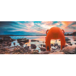 Water Rescue Robot Manufacturer - Remote Control Supplier