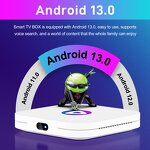 TV Box Manufacturer - Factory Price BTV 13 Original Android 13 Set Top Box 8K HD