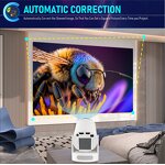 Portable Projector Manufacturer - OEM 170 ANSI Android Wifi Allwinner H713 4k