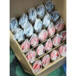 PS4 Controller Manufacturer - OEM Wireless Joystick with Light Bar Vibration Gyro