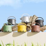 TWS MP3 Player Manufacturer - OEM A20 5W 600mah TF Card Wireless Audio Music Player