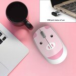 Wireless Mouse Manufacturer - OEM FVT100 Animal Cartoon Panda Tiger Business Gift