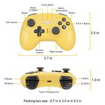 Switch Joystick Manufacturer - OEM BT Wireless Gamepads with Axis Vibration for Pro