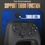 Wireless Controller Manufacturer - OEM with Six Axis Wake up NFC for Switch Lite OLED