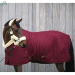 Horse Riding Blanket Manufacturer - OEM Professional Durable Sheet Turnout Cover Rug