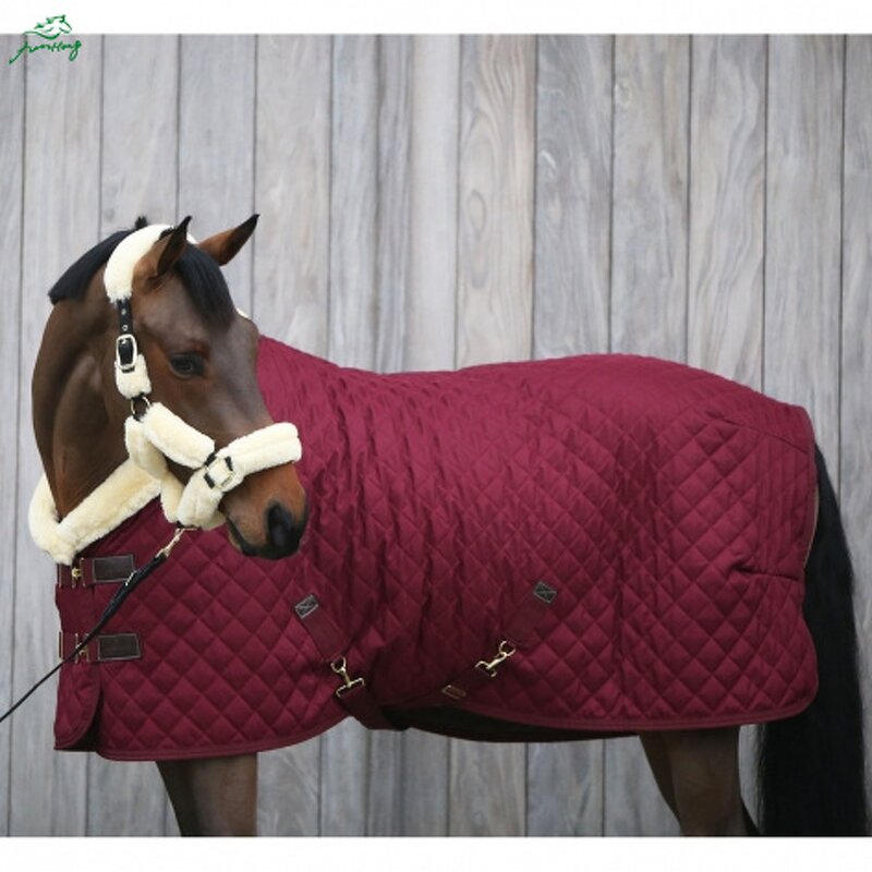 Horse Riding Blanket Manufacturer - OEM Professional Durable Sheet Turnout Cover Rug