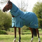 Horse Blanket Manufacturer - OEM High Quality Waterproof Oxford Fabric All Seasons Rug