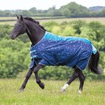 Horse Rug Manufacturer - Wholesale Customized Embroidery Logo Riding Equipment Sheet