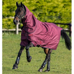 Horse Stable Rug Manufacturer - OEM Equestrian Heavy Fill Winter Blanket Custom Logo Rug