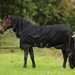 Horse Blanket Manufacturer - OEM Black Heavyweight Fill Cotton Insulated for Cold Weather