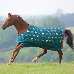 Horse Turnout Rug Manufacturer - OEM High Quality All Seasons Waterproof Oxford Fabric