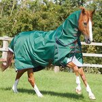 Horse Rug Manufacturer - Wholesale Customized Embroidery Logo Riding Equipment Sheet