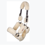 Horse Halter Manufacturer - OEM Top Quality Soft Equine Headstall Bridle Head Collar