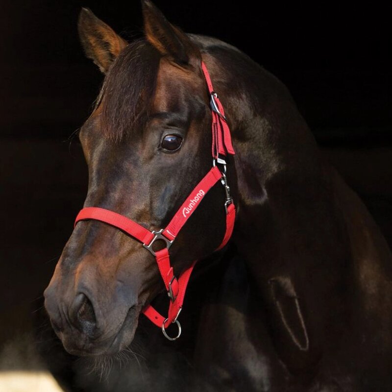 Racing Horse Halter Manufacturer - OEM Durable Nylon Comfortable Fit for Equine Activities