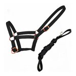 Racing Horse Halter Manufacturer - OEM Premium Durable Nylon Comfortable Fit Matching Set