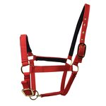 Horse Halter Manufacturer - OEM Durable Comfortable Fit PP Nylon Bridle Head Collar