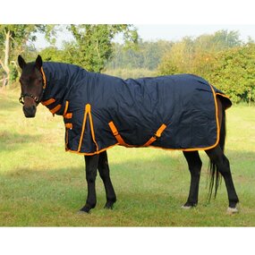 Horse Rug Manufacturer - Wholesale Customized Embroidery Logo Riding Equipment Sheet