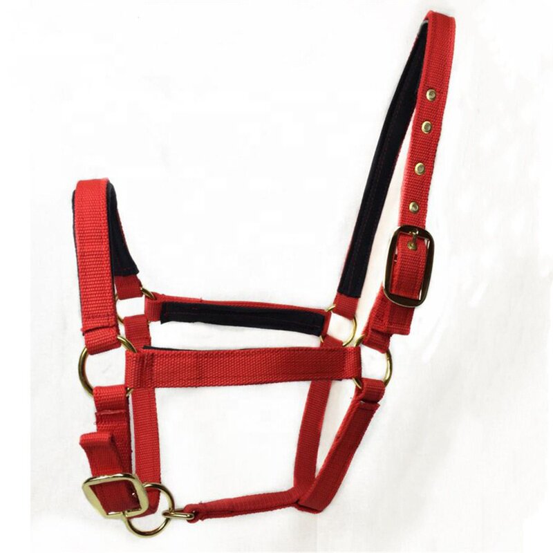 Horse Bridle Manufacturer - OEM Customized Nylon Harness Headstall PP Material Halter