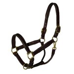 Racing Horse Halter Manufacturer - OEM Durable Nylon Comfortable Fit for Equine Activities