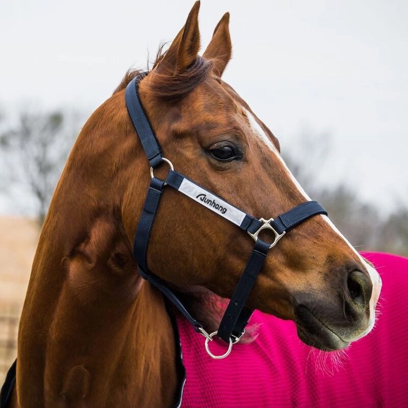 Horse Halter Manufacturer - OEM Durable Comfortable Fit PP Nylon Bridle Head Collar