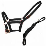 Racing Horse Halter Manufacturer - OEM Premium Durable Nylon Comfortable Fit Matching Set