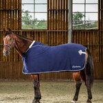 Horse Stable Rug Manufacturer - OEM Fly Sheet Summer Polar Fleece Blanket Horse Sheet