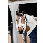 Horse Halter Manufacturer - OEM Top Quality Soft Equine Headstall Bridle Head Collar