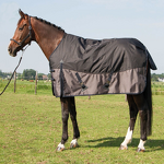 Horse Turnout Rug Manufacturer - OEM High Quality All Seasons Waterproof Oxford Fabric