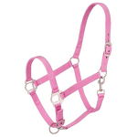 Horse Halter Manufacturer - OEM Durable Nylon Comfortable Fit Headstall Bridle Guard