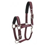 Horse Halter Manufacturer - OEM Durable Comfortable Fit PP Nylon Bridle Head Collar