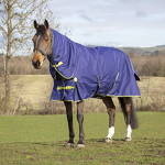 Horse Turnout Rug Manufacturer - OEM High Quality All Seasons Waterproof Oxford Fabric
